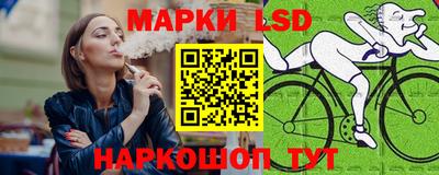 прущий лед Будённовск