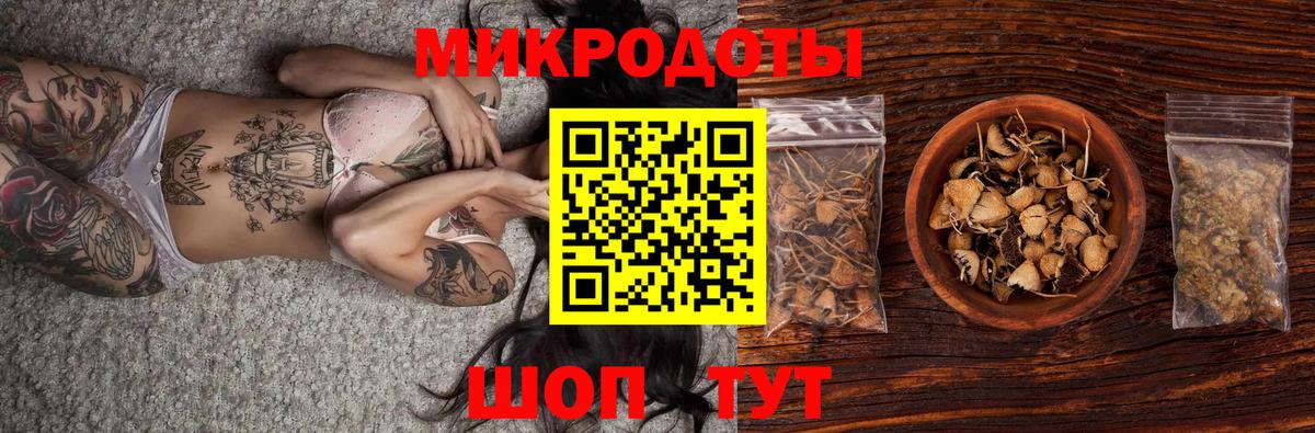 где можно купить   Галлюциногенные грибы MAGIC MUSHROOMS  Вход с VPN  Новокубанск 